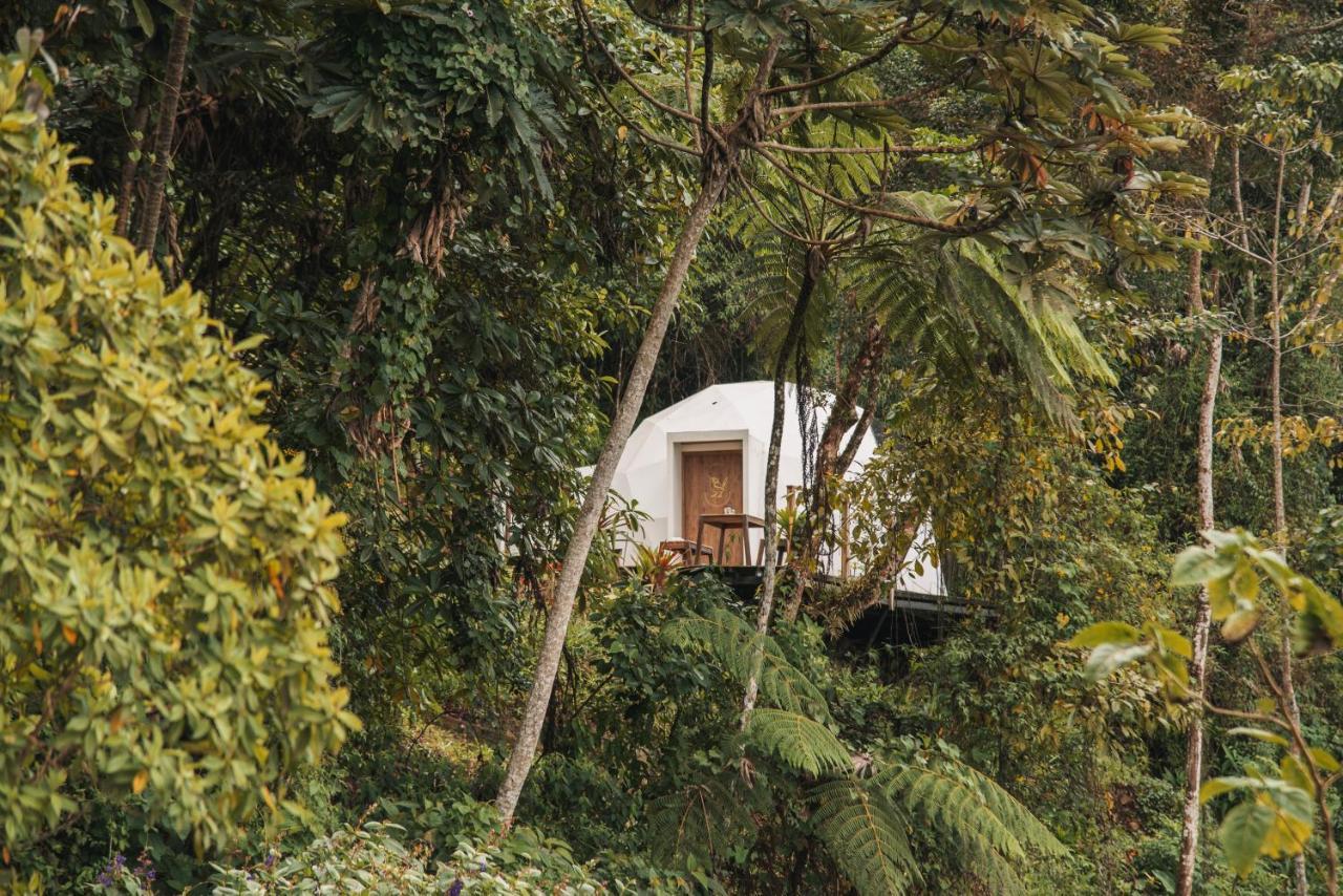 Villa Terramia Estate à Minca Extérieur photo